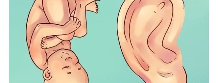 Auriculoterapia