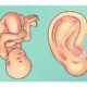 Auriculoterapia
